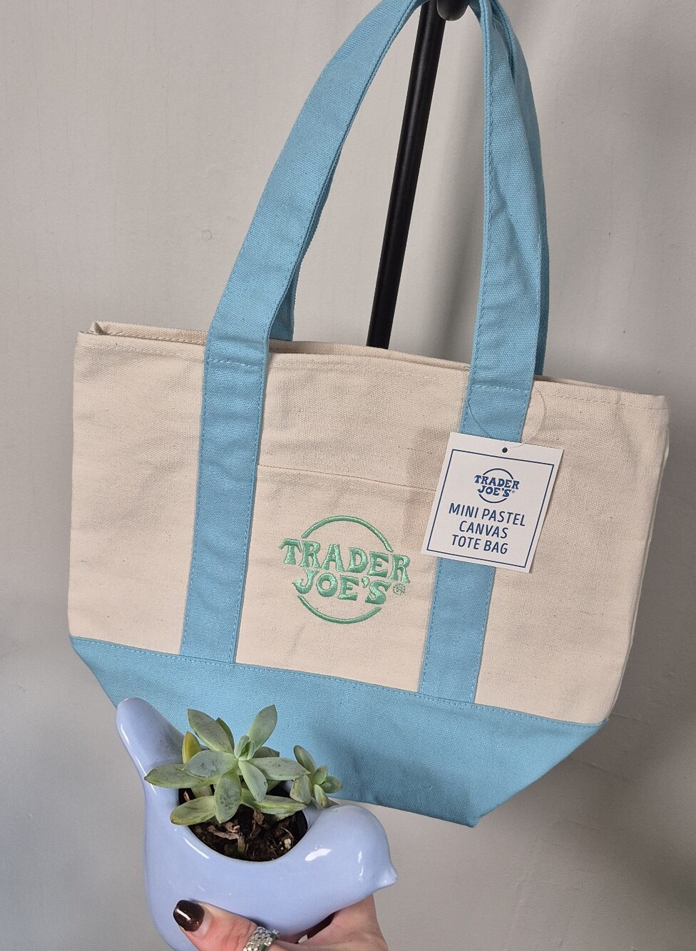 The Viral Trader Joes Mini Canvas Tote Bag in Pastel Blue & Cream